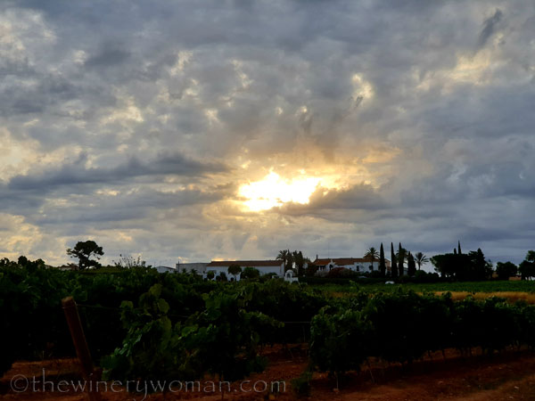 Sunrise_Clouds7_8.13.19_TWW