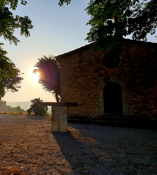 Sunrise_Vineyard22_8.8.19_TWW