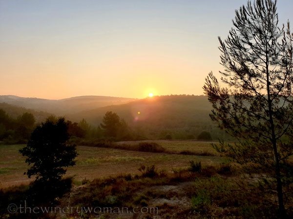 Sunrise_Vineyard8_8.8.19_TWW
