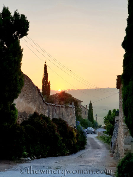 Sunrise_Vineyard_8.8.19_TWW