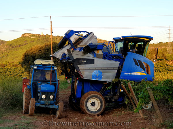 Harvest10_9.12.19_TWW