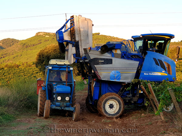 Harvest11_9.12.19_TWW