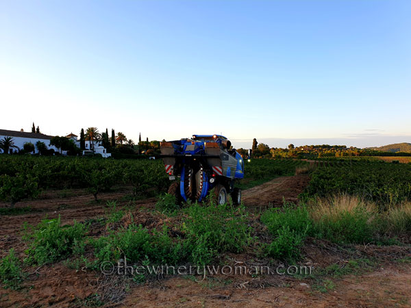 Harvest13_9.12.19_TWW