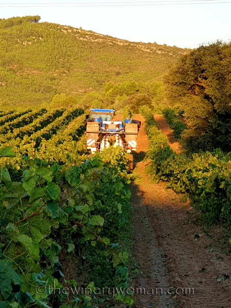 Harvest14_9.12.19_TWW