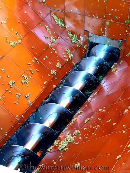 Harvest23_9.12.19_TWW