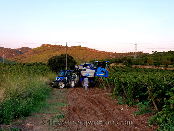 Harvest2_9.12.19_TWW