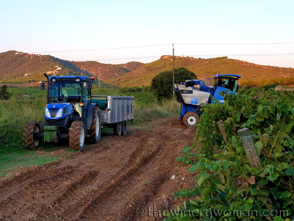 Harvest3_9.12.19_TWW