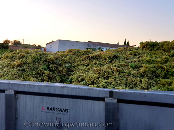 Harvest5_9.12.19_TWW