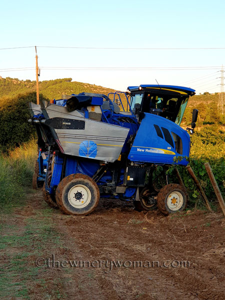 Harvest9_9.12.19_TWW