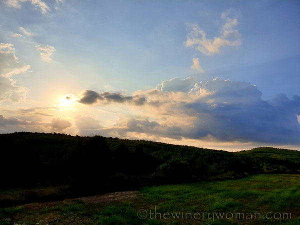 Sunrise10_9.5.19_TWW