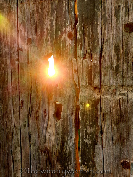 Light_Door_10.1.19_TWW