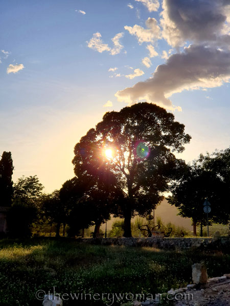 Natures_glory3_10.6.19_TWW