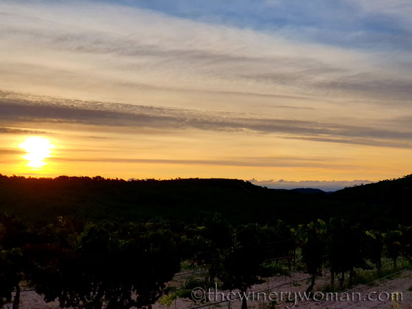 Natures_glory4_10.6.19_TWW