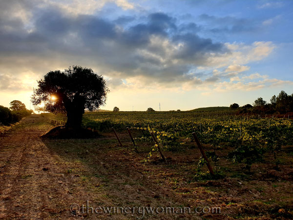 Natures_glory9_10.6.19_TWW