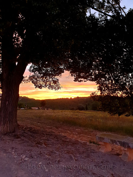 Tranquility3_10.18.19_TWW