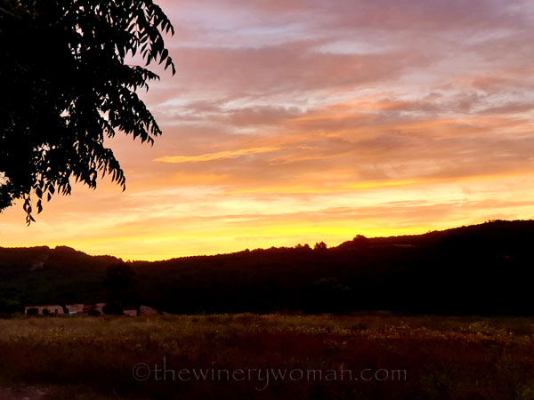 Tranquility4_10.18.19_TWW