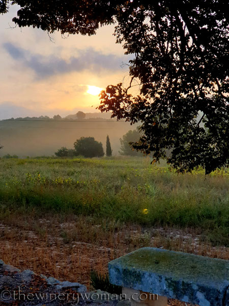 Tranquility_10.14.19_TWW