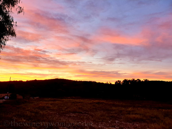 Tranquility_10.18.19_TWW