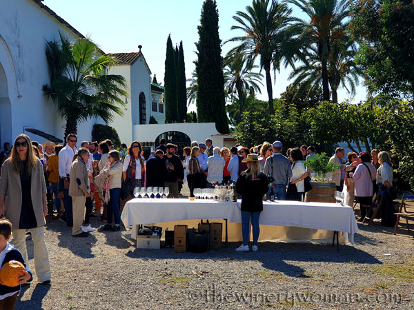 Viladellops_Museum33_10.26.19_TWW