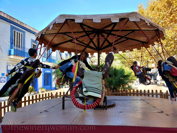 Merry-go-round6_11.9.19_TWW