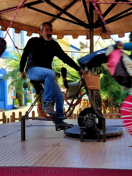 Merry-go-round7_11.9.19_TWW