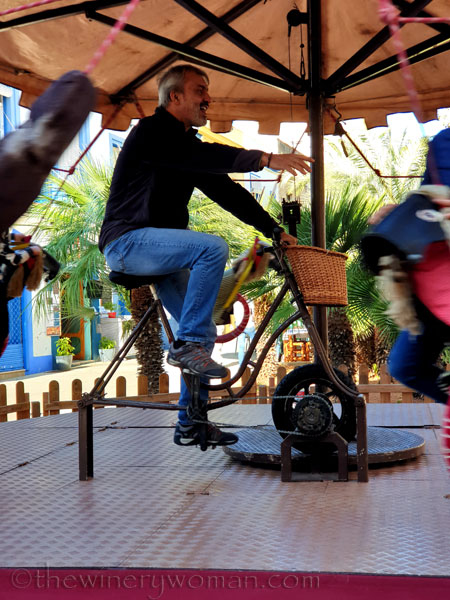 Merry-go-round8_11.9.19_TWW