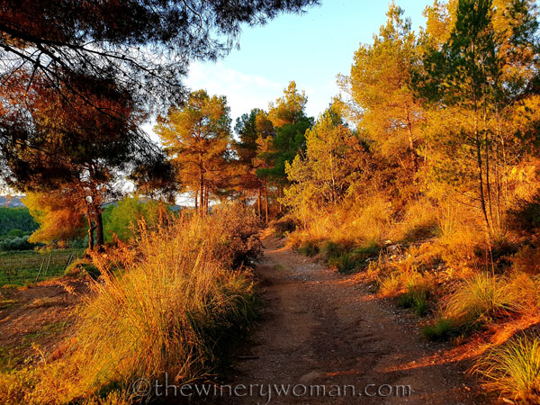 Photos_for_Dad10_11.4.19_TWW