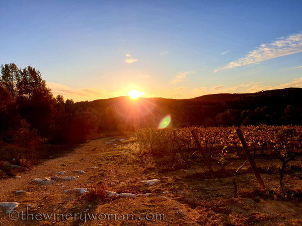 Photos_for_Dad12_11.4.19_TWW