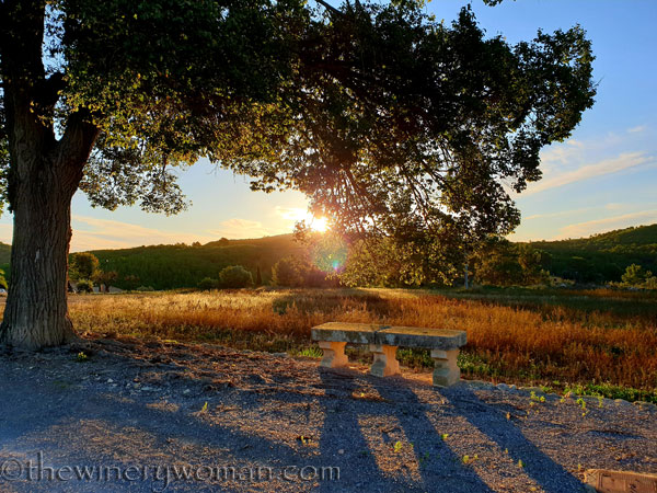 Photos_for_Dad16_11.4.19_TWW