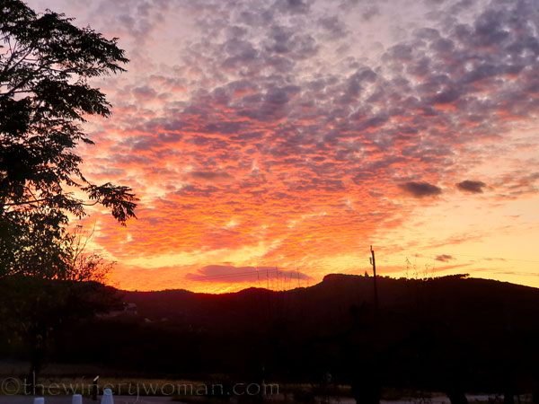 Photos_for_Dad20_11.4.19_TWW