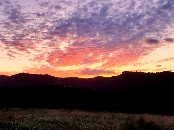 Photos_for_Dad21_11.4.19_TWW