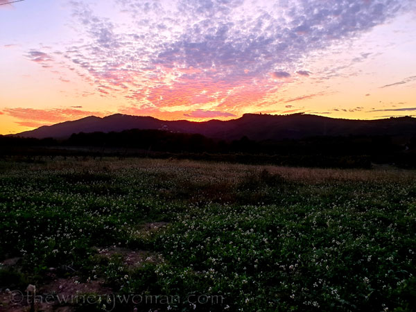 Photos_for_Dad22_11.4.19_TWW