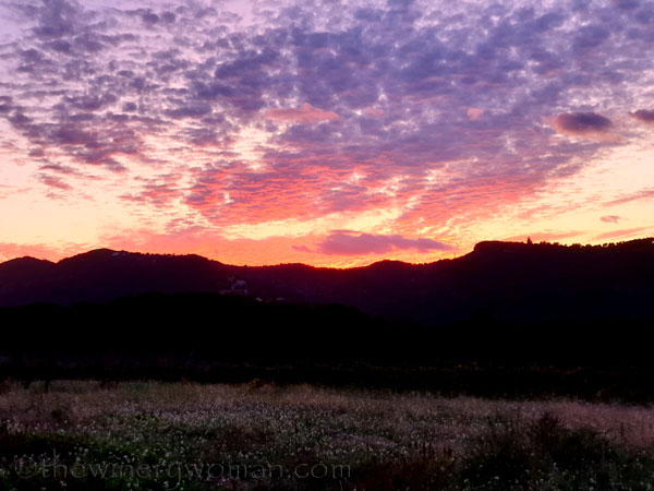 Photos_for_Dad23_11.4.19_TWW