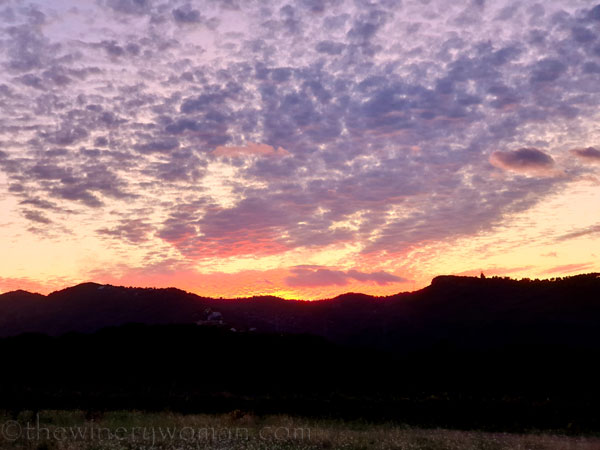 Photos_for_Dad25_11.4.19_TWW