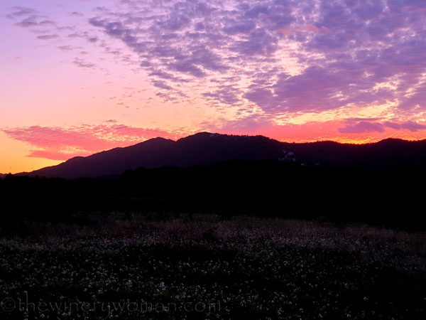 Photos_for_Dad26_11.4.19_TWW