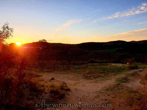 Photos_for_Dad6_11.4.19_TWW