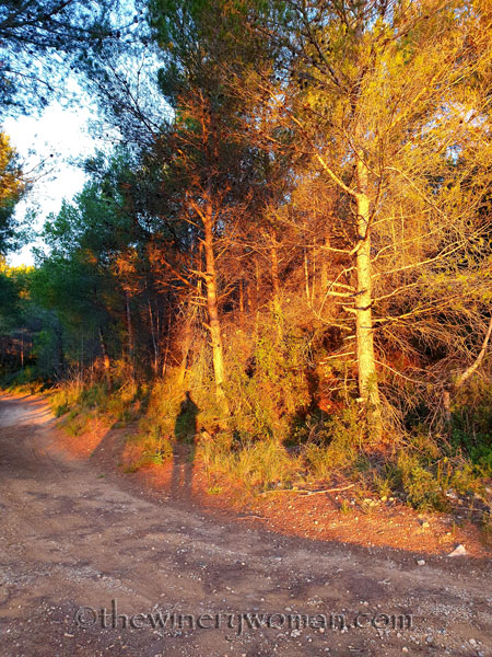 Photos_for_Dad7_11.4.19_TWW