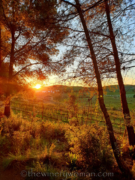 Photos_for_Dad9_11.4.19_TWW