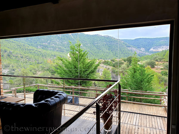 Vinyes_Domenech11_10.28.19_TWW