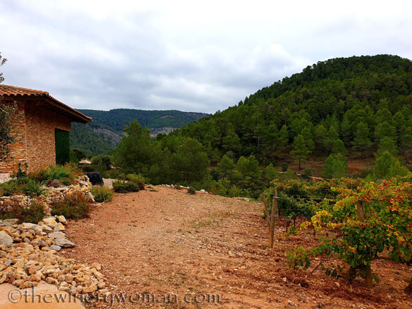 Vinyes_Domenech2_10.28.19_TWW