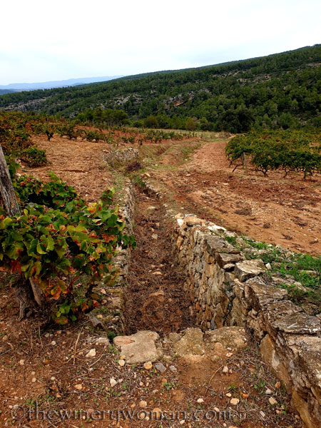 Vinyes_Domenech30_10.28.19_TWW