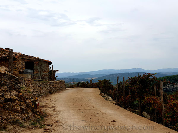 Vinyes_Domenech45_10.28.19_TWW