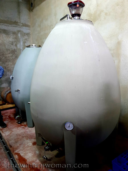 Vinyes_Domenech50_10.28.19_TWW