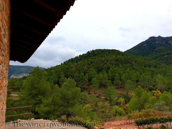 Vinyes_Domenech6_10.28.19_TWW