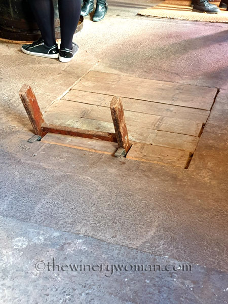 Canyelles18_11.30.19_TWW