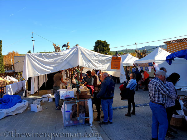 Canyelles3_11.30.19_TWW