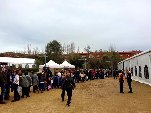 Fira_del_Gall17_12.21.19_TWW