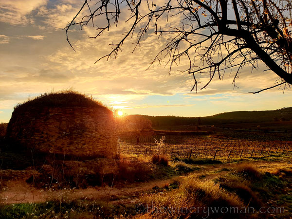 Sunrise_Viladellops15_2.1.2020_TWW