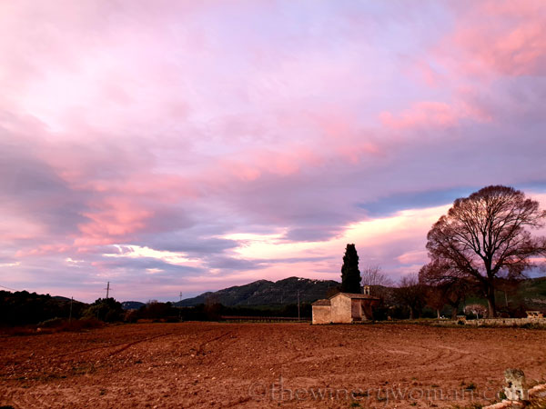 Sunrise_Viladellops2_2.1.2020_TWW