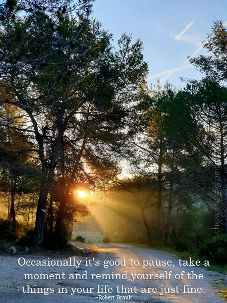 Good-to-pause_3.12.2020_TWW